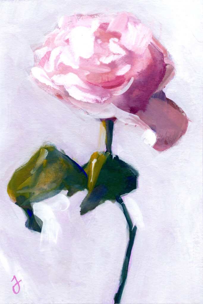 Pink Rose