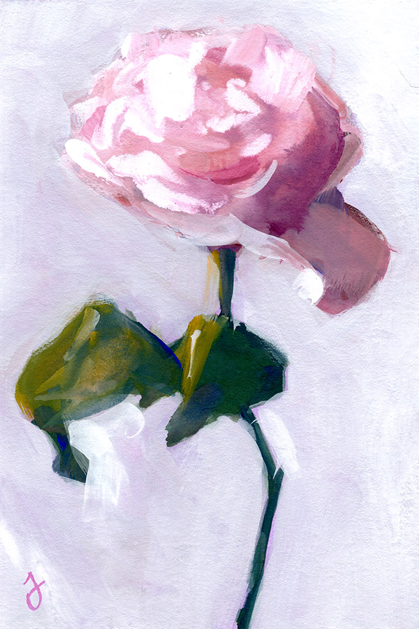 Pink Rose