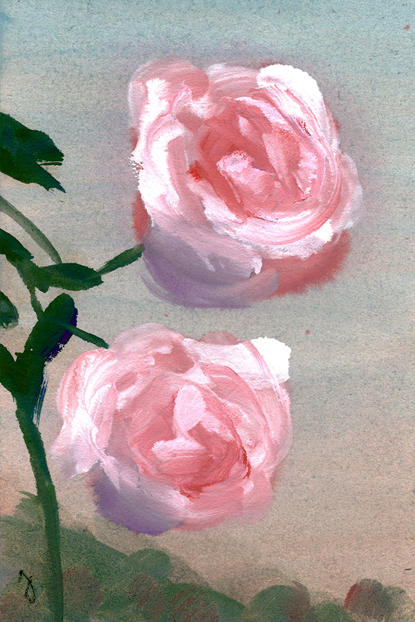 Pink Roses II